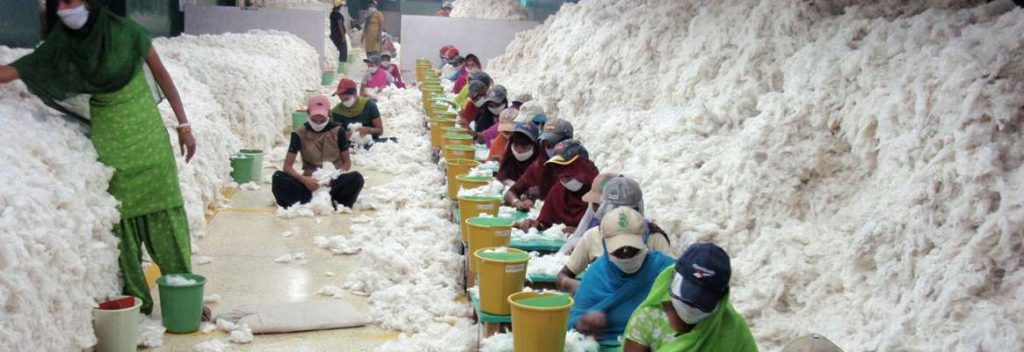 ¿Cuáles son los impactos ambientales y las soluciones dentro de la industria textil y de confección?